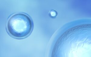 avances-en-celulas-madre