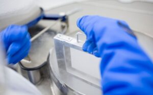 que-ocurre-después-de-lacriopreservacion1